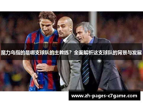 魔力鸟指的是哪支球队的主教练？全面解析这支球队的背景与发展