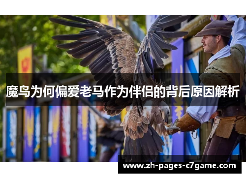 魔鸟为何偏爱老马作为伴侣的背后原因解析